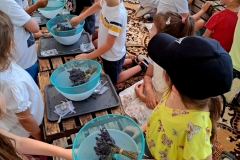 480689198_1179344047314997_6925390900343594481_n