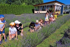 480999840_1179344020648333_2370567268450920646_n