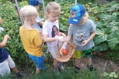 541620327_2297180590734268_2434518222575484166_n