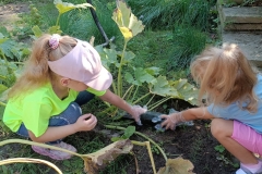 541679653_2297181837400810_5027613092695530769_n