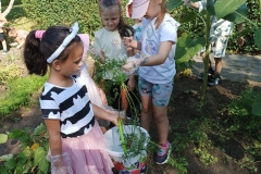 541699693_2297182504067410_5463592773736879347_n