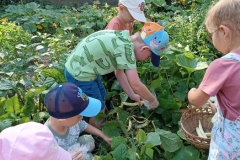 541998891_2297181000734227_3988651938700447572_n