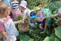 542661119_2297180884067572_5927975371692793057_n