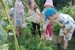 542670043_2297182377400756_2432328689273951020_n