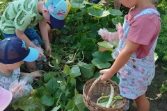 543116889_2297180940734233_2810502574193835756_n