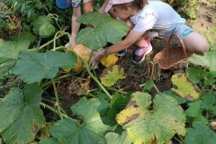 543122151_2297180254067635_6151690196352867373_n