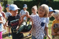 543123850_2297183377400656_9059439404500238822_n