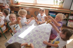 505390144_1267531118496289_8649807603099903130_n