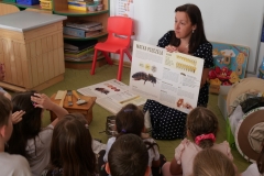 506504847_1267530608496340_5253783266104928516_n