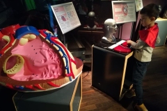 dzieci oglądają budowę serca