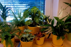 4c90334d-16e2-4280-8790-8194ece066b7