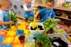 6c4d3689-33dd-44eb-9890-8a4532a8dfb7