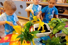 9b5d1554-92dd-43d5-8522-342923a73b71