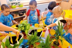 a237f2f4-0734-4ea5-a896-e7eef1bdb8b7