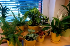 be3eb8ba-eb55-44ca-b390-cccbe237cc62