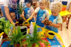 c963a3ae-fa9a-4020-84d8-27bcf15f7488