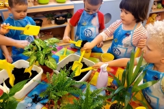 efe4ed79-b11f-4059-a457-13bb952dab67